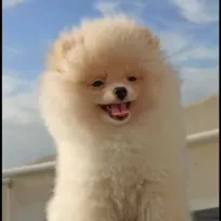 İzmir.Nakliyecim.İstanbul