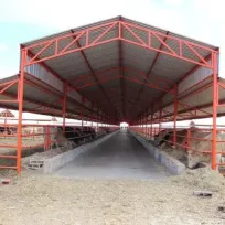 WENA CELIK INSAAT VE TASIMACILIK SAN.TIC.LTD.STI