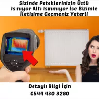 Sakarya Petek Temizleme Servisi