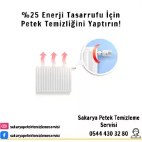 Sakarya Petek Temizleme Servisi