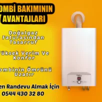 Sakarya Petek Temizleme Servisi