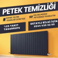 Sakarya Petek Temizleme Servisi