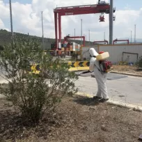 KESKiN İLAÇLAMA DEZENFEKSİYON ÇEVRE SAĞLIĞI HİZMETLERİ