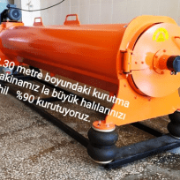 Uğur böceği halı ve koltuk yıkama