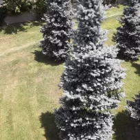 Ragıp Bayram Ali Aksu