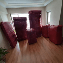 Burgut uluslararası lojistik ve gida ticaret limitet şirketi