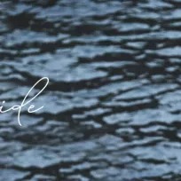 HAZAL DAVET ORGANİZASYON