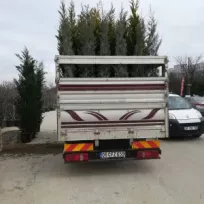 Sarmaşık peyzaj