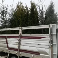 Sarmaşık peyzaj
