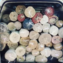 Yeni Nesil Koltuk yıkama