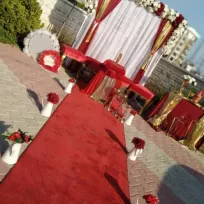 Cansu'you Organizasyon