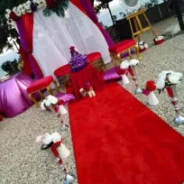 Cansu'you Organizasyon