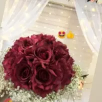 Cansu'you Organizasyon