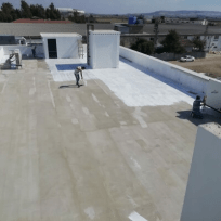 Loyal Profesyonel yönetim