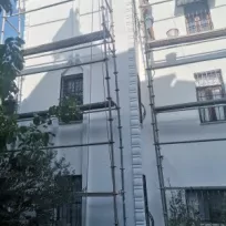 Loyal Profesyonel yönetim