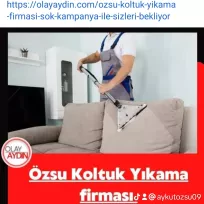 ÖZSU PROFESYONEL KOLTUK YIKAMA Temizlik Şirketi