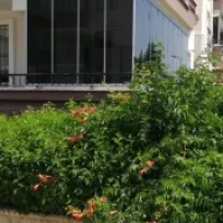 MTN cambalkon pimapen panjur