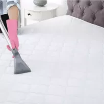 Elite Sofa Cleaning