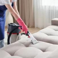 Elite Sofa Cleaning