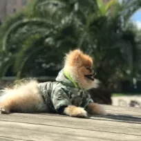 İlayda Üçüncüoğlu