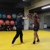 Hüseyin Yıldırım