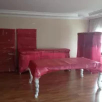 İZMİR Delux Nakliyat