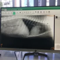 VetLand Veteriner Kliniği