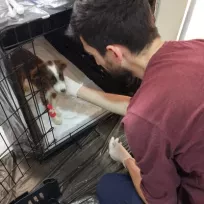 VetLand Veteriner Kliniği