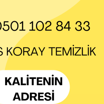 Sivas Koray  Temizlik