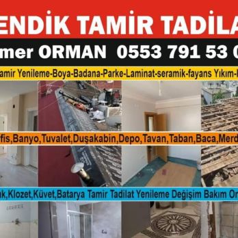 Tamer orman