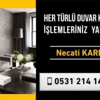 Necati Karlı