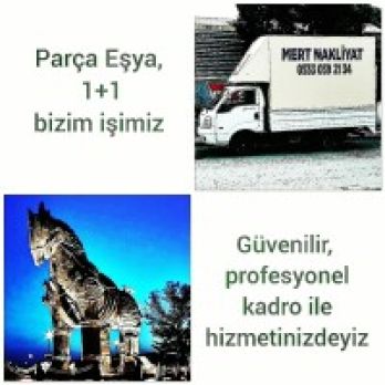 Mehmet Tığlıoğlu