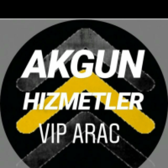 Demet Akgün