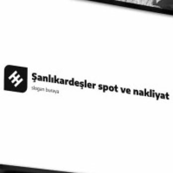 Şanlı kardeşler nakliyat ve spot