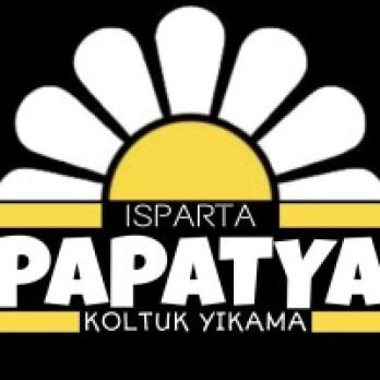 Papatya Koltuk Yıkama