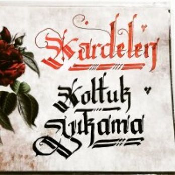 kardelen koltuk yikama