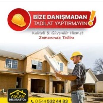 Aslan dekorasyon