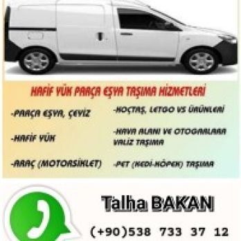 Talha Bakan