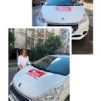 Vizyon özel direksiyon geliştirme merkezi