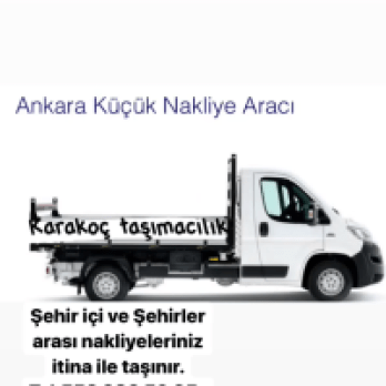Hamza Karakoç