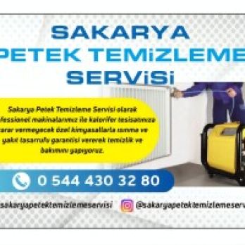 Sakarya Petek Temizleme Servisi