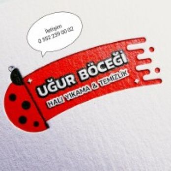 Uğur böceği halı ve koltuk yıkama