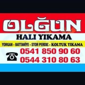 Olgun halı yıkama