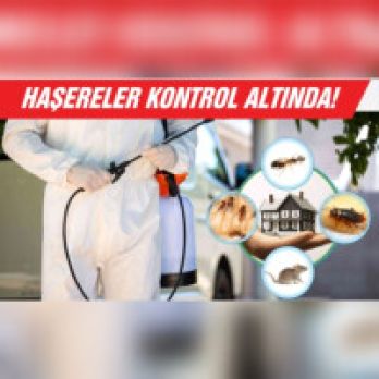 SONPEST HAŞERE İLAÇLAMA VE DEZENFEKSİYON HİZMETLERİ