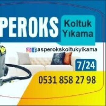 Asperoks koltuk yıkama