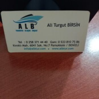 Ali Turgut BİRSİN