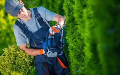 Bahçe Düzenleme Peyzaj