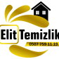 Bilgi girmeç