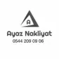 Ferit Ağsakal
