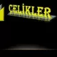 ÇELİKLER CAM BALKON VE JANT LASTİK İMALAT EMLAK OTOMOTİV TİC. LTD. ŞTİ.